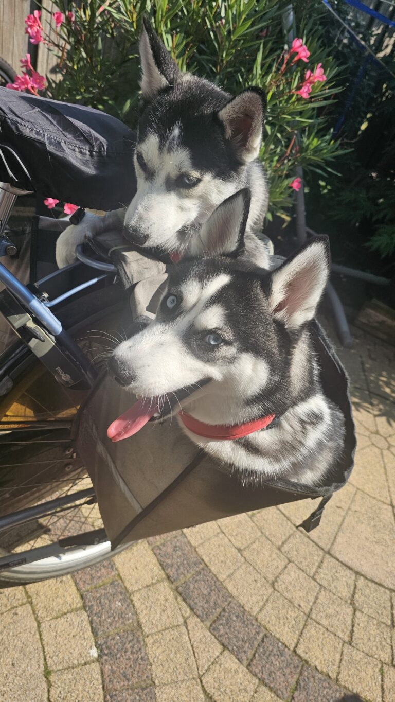 Biken met Bodhi en Kenji