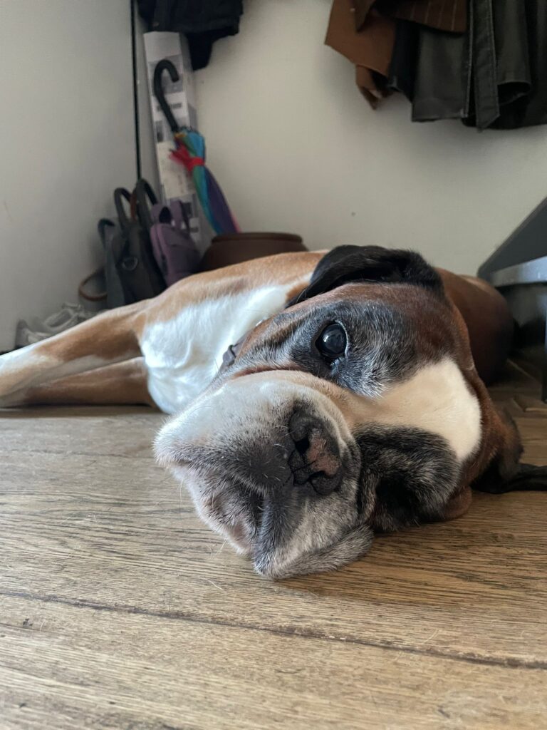 Duco poseert voor me