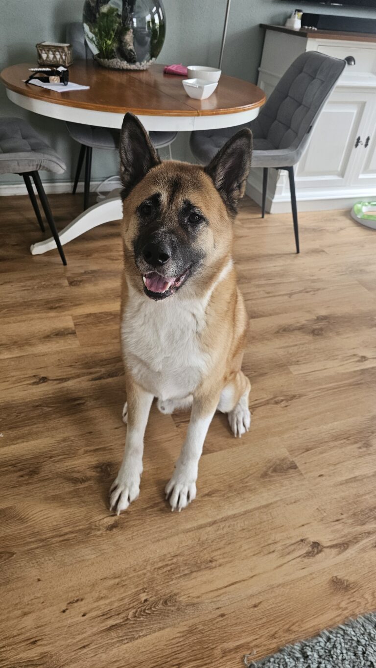 Ivar luistert zo goed