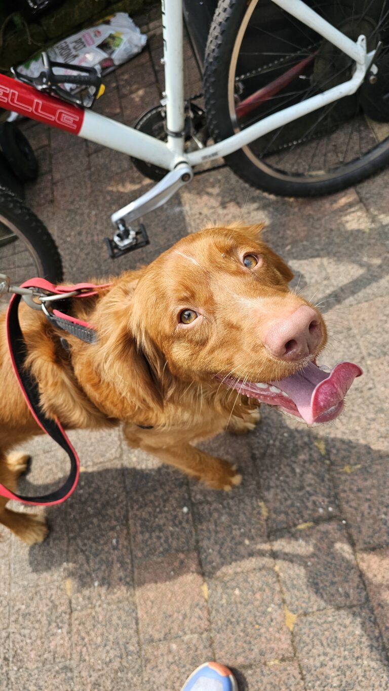 Lekker biken met Odin