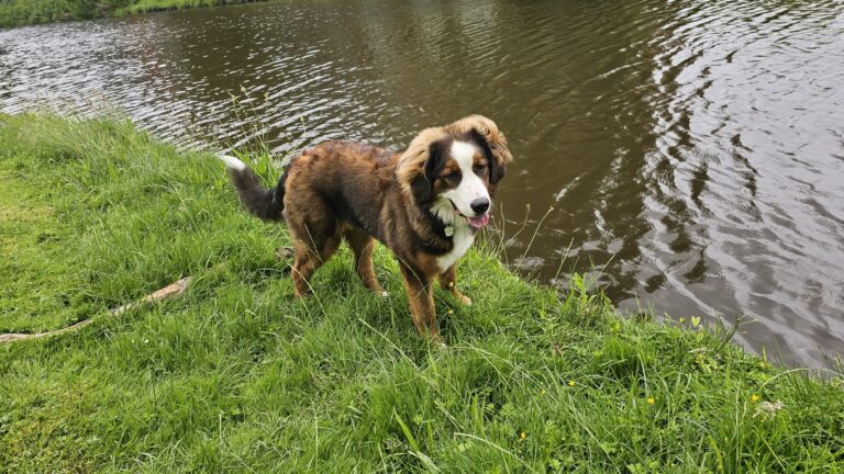 Lekker in het eendenparkje met Riley