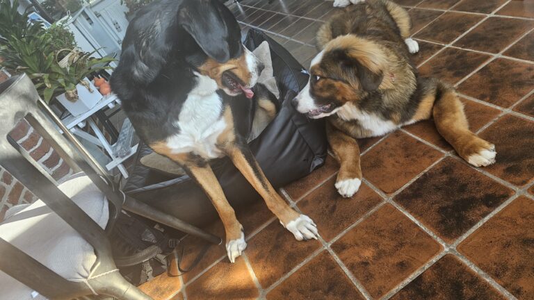 Riley en Hailey zo lief